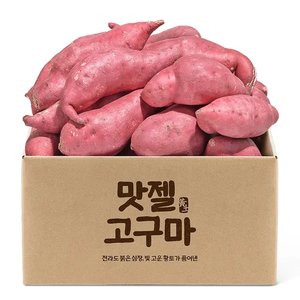 2026년 햇단밤고구마 5kg 실속형 특상 (11,980원/무료)