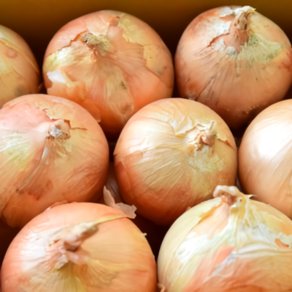 국내산 무안양파 단단한 햇 양파, 1박스, 5kg(대) (7,550원)