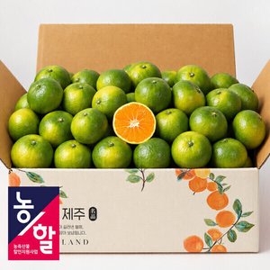 (농할20%) 제주 햇조생 감귤 로얄과 3.5kg (8,980원/무배)