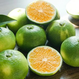 (농할)제주 햇 극조생 감귤 꼬마소과 5kg (7,980/무료)