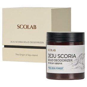 스코랩 제주 화산송이 생활탈취제 비자숲 본품, 250g, 1개 (17,400원)