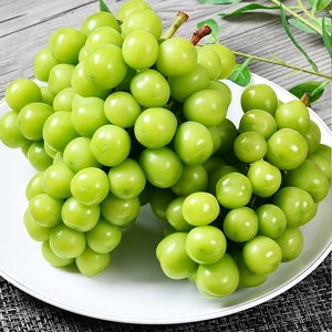 샤인머스켓 중과 1kg 2개 (9,800원 /무료)