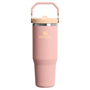 스탠리 아이스플로우 플립 스트로 2.0 텀블러, 블랙, 887ml, 1개 (카드) (26,760원) (와우무배)