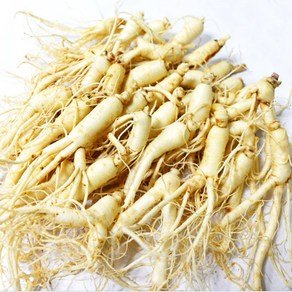 금산 후금이네 가정용 햇 수삼 세척인삼, 1개, 24-32편(400g) (26,610원)