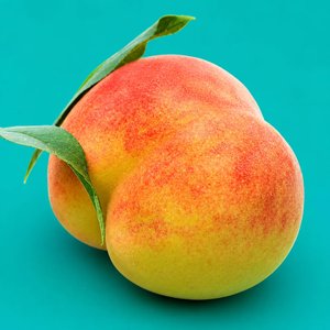 딱딱이 털 복숭아 중과 1kg + 1kg (9,580원) (무료)