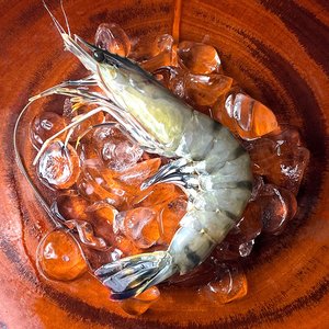 블랙타이거새우 10미/15미 500g(9,900원/19,000원이상 무배)