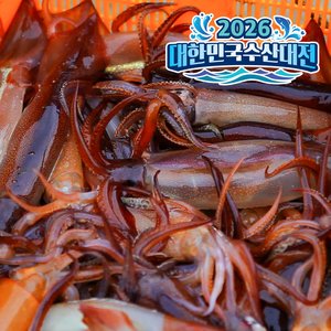 국내산 생물 손질 오징어 통찜용 1kg(4~5미) (9,920원) (무료)