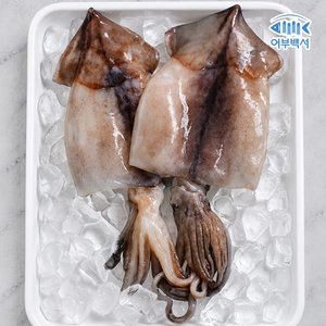 자연산 손질 오징어 780g (260g x 3팩/팩당 2미) (14,000원/무료)