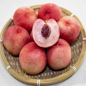딱딱이 백도복숭아 4kg (25-28과 내외) (15,380원/무배)