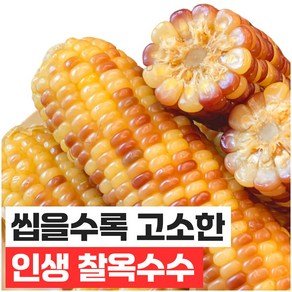 푸드지 손질세척 담백한 홍찰 옥수수, 30개 (20,850원)