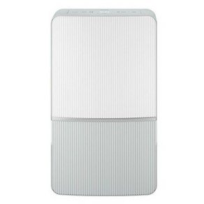 위닉스 인버터 뽀송 제습기 21L DXWE210-NGK (365,720원)