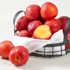 영천 노지자두 2kg (10,710원/무료)