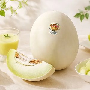 캘리포니아 허니듀 멜론 6수 3입 개당 1.8kg 이상 (23,450원) (무료)
