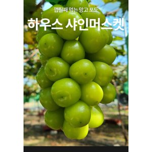 산지직송 고당도 샤인머스켓 2kg 3~4수 (12,980원/무료배송)
