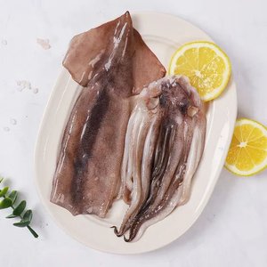 자연산 손질오징어 통오징어 2미(220g) x 5팩 (총 10마리) (16,860원) (무료)