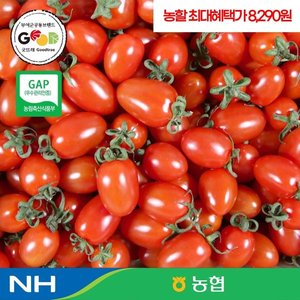 농협 국내산 대추방울토마토 2kg(1~3번과) (8,720원/무료)