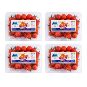 스테비아 대추방울토망고 2kg (10,990원/무료)