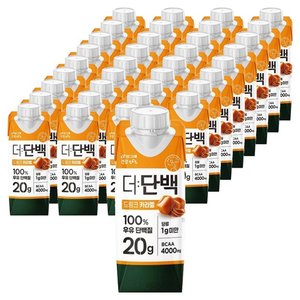 더단백 드링크 카라멜, 250ml, 36개 (34,830원)
