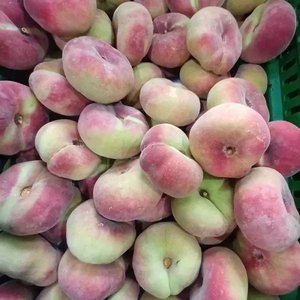 거반도 납작복숭아 700g (개당 150g이상) (12,370원/무료)