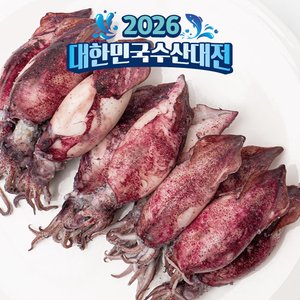 자연산 통찜 한치 1kg 30-40미 (8,810원) (네멤무배)