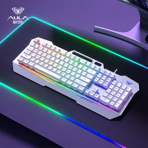 AULA 독거미 F3010 RGB 유선 게이밍 기계식 키보드 (19,900원) (무료)