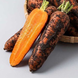 당근중 1.5kg (2,540원) (멤버십)
