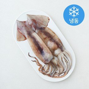 위드프레쉬 손질 통오징어 (냉동), 1개, 320g (6,790원)