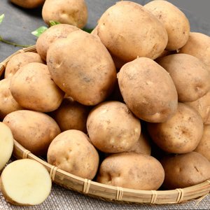 국내산 햇감자 4kg (7,900원 /무배)