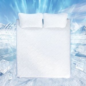 국산 냉감 쿨매트 슈퍼싱글SS/퀸Q 사이즈 + 베개커버 세트 (24,900원/무료)