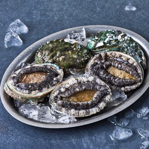 완도맘 활전복 (냉장), 500g 내외(특대, 5마리), 1개 (8,090원)
