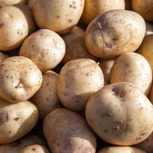 국내산 햇감자 3kg (5,800원/무배)
