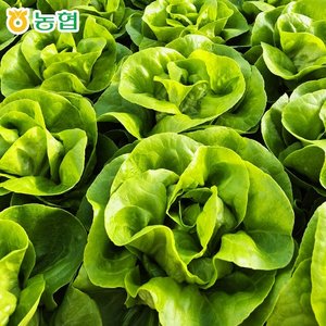 국내산 유러피안 샐러드 1kg (9,418원/무료)