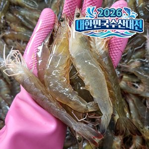국산 흰다리새우 왕새우 1kg 32미 (21,020원/네멤무배)