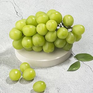 (농할30%) 경북 하우스 샤인머스켓 1.5kg내외 3수 (8,920원/무료)