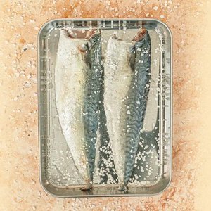 손질 순살 안동 간고등어 120g 10팩 (15,590원/무료)