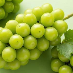 (농할20%) 국내산 고당도 샤인머스켓 특품 4kg 4-6수 (14,990원) (무료)