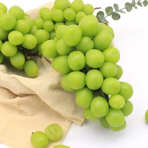 경북 샤인머스켓 산지직송 2kg (9,900원/무료)