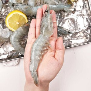 국내산 흰다리새우 횟감용 1kg 30미 내외 (18,790원/무료)