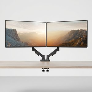 더함 베이직 듀얼 모니터암 MAD11-AG251LB (27,500원 / 무료)