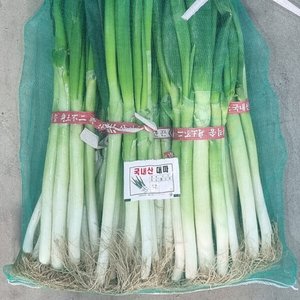 국내산 대파 흙대파 5kg (13,910원) (무료)