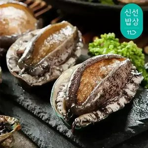 T멤버십 완도 활전복 10미 마리당80~90g (15,600원/무료)
