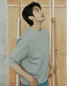 지오다노 기본 무지 라운드넥 맨투맨 (12,920원/무료)