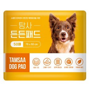 탐사 고흡수 든든패드 레몬향, 50개입, 1개 (12,910원)
