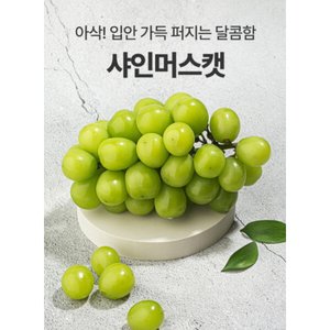 산지직송 고당도 샤인머스캣 2kg 3~4수 (15,980원 / 무료)