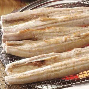 국내산 자포니카 특대 민물장어 1kg 1-2미(21,800원/무료)