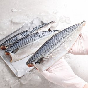 노르웨이 고등어 왕특대 1kg(6팩/팩당150g) (19,890원/무배)