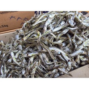 남해안 햇 멸치 다시용/안주용/무침용 고주바 멸치 1.5kg (9,320원) (무료)