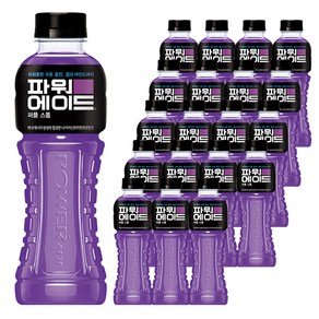 파워에이드 퍼플스톰, 600ml, 20개 (15,880원)