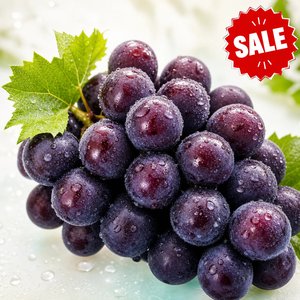국내산 거봉 1kg (11,890원) (무료)