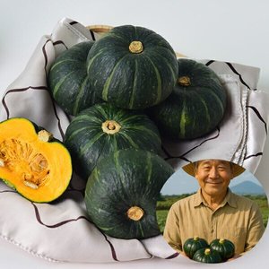 제주직송 밤단호박 보우짱 5kg 로얄과 (10,640원/무료배송)